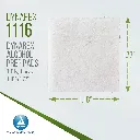 DYN IPA-12.webp