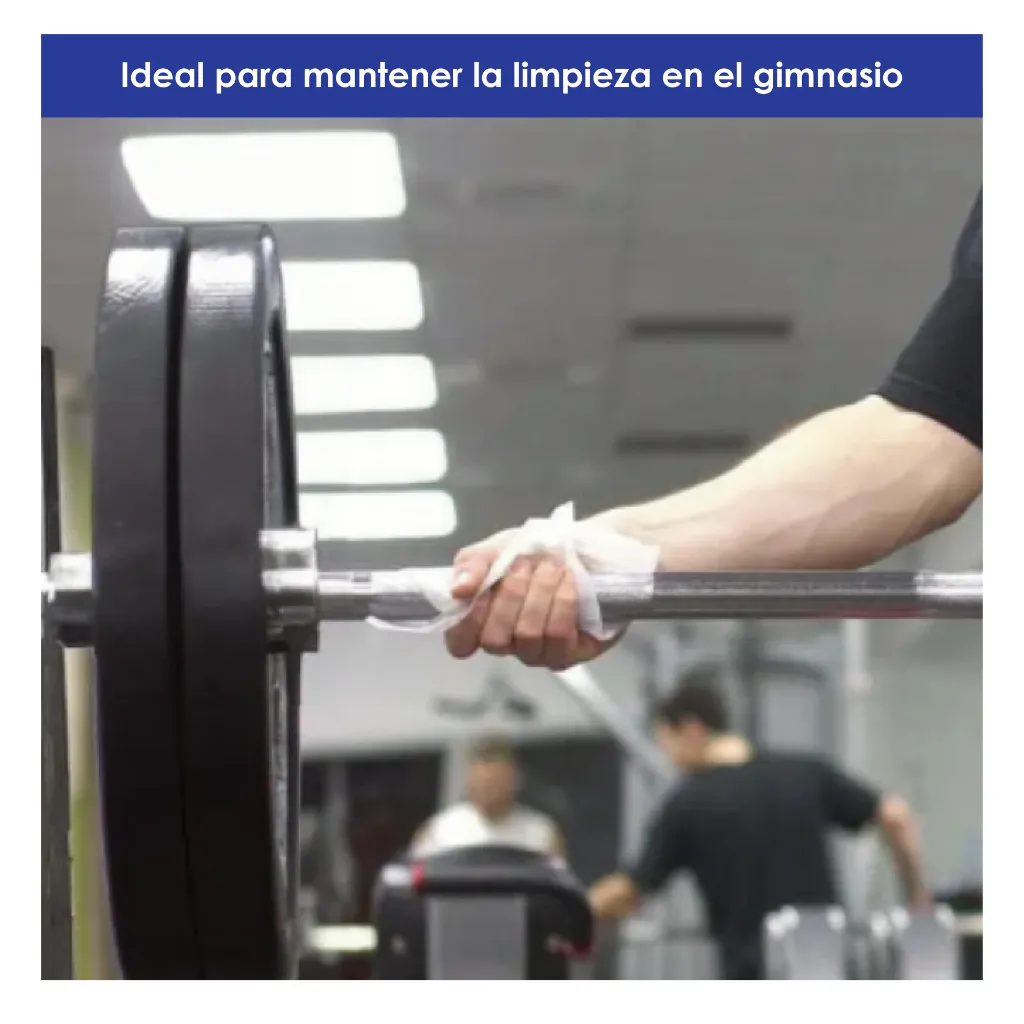 Endurance rollo-34.webp