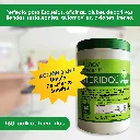 steridol 160-14.webp