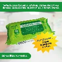 steridol 80-20.webp